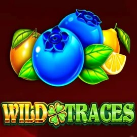 Wild Traces casino game by Amusnet Interactive – featured logo at IgoBet Casino